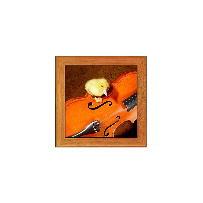Dessous de plat : Caneton sur un violon