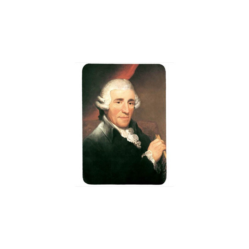 Tapis de souris 27 cm x 20 cm : Haydn
