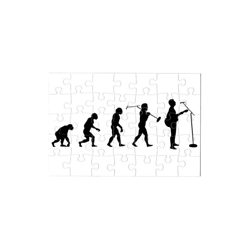 Puzzle Evolution du chanteur