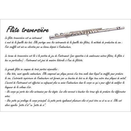 Poster éducatif : la flûte traversière