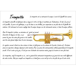 Poster éducatif : la trompette