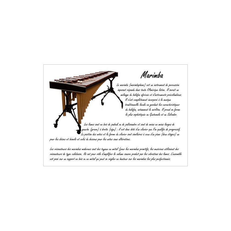 Poster éducatif : le marimba