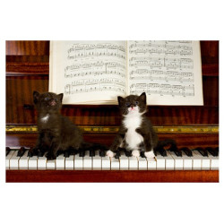 Poster 2 chatons sur un piano