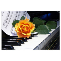 Poster Piano, rose orange, partition