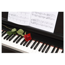 Poster Piano, rose, partition