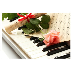 Poster Piano, rose rose, partition