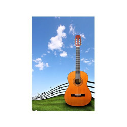 Poster Guitare sur une pelouse