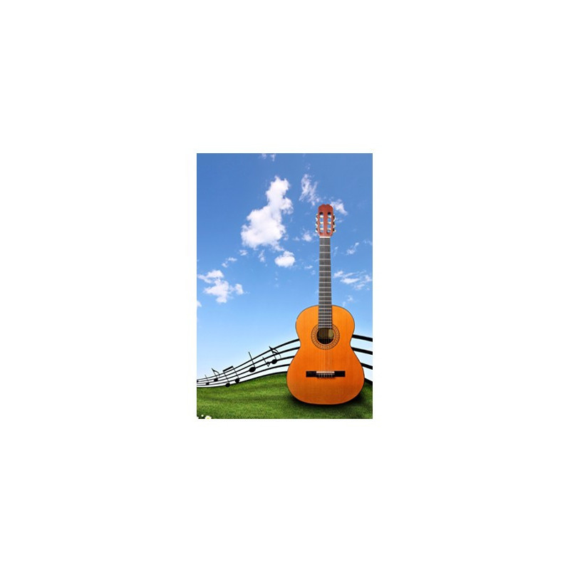 Poster Guitare sur une pelouse