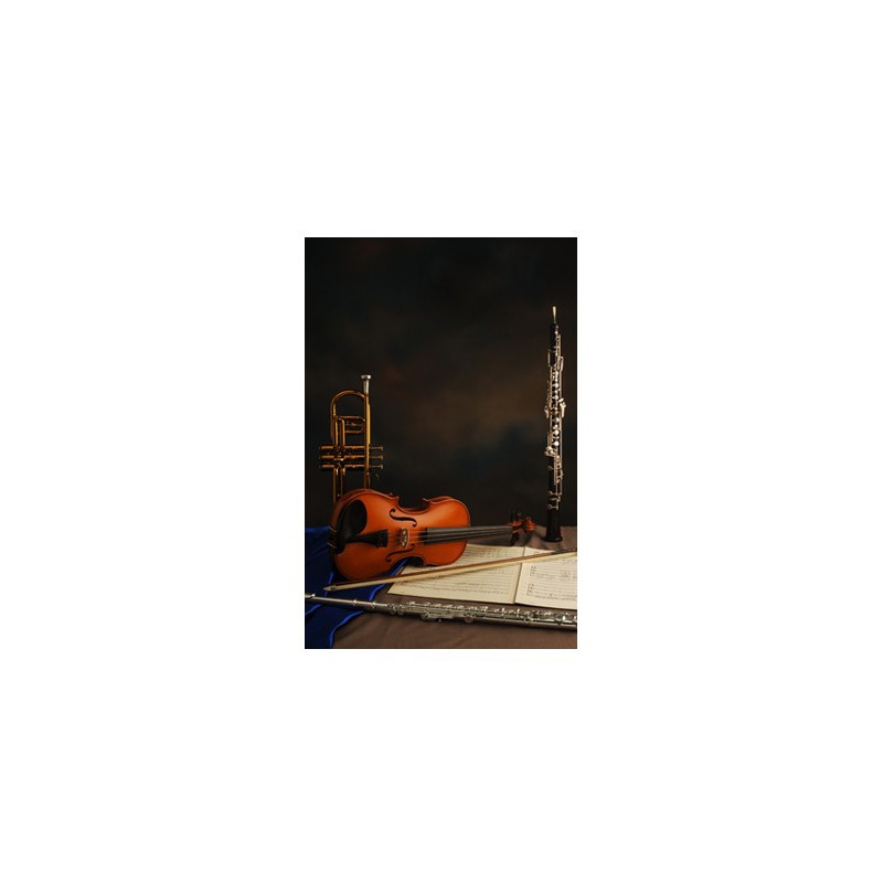 Poster Trompette, hautbois, flûte, violon, partitions