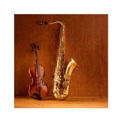 Poster Violon et saxophone